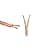 Kinter Cable 100ft 16-Gauge Audio Stereo Speaker Wire Cable, 100 Feet, 30.48 Meters, 2 Conductor, Polarity Marked, Flexible Clear PVC, CCA, Home Theater, HiFi, Surround or Auto Amp image