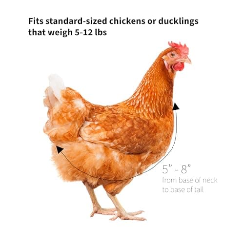 Chicken Diapers for Hens, Rooster - Disposable Lining, Reusable, Adjustable, Improved Straps, Size That FITS by Uni Infinity (Pink Floral, Large, 1, Count) image