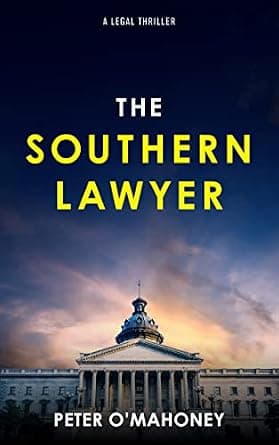 The Southern Lawyer (The Southern Lawyer Series Book 1) image
