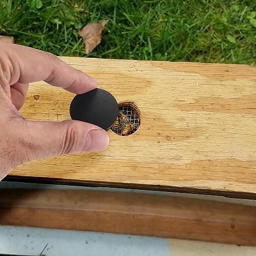 Plastic Hole Plugs, 180pcs Black Panel Knockout Locking Plugs, Round Drill Screw Hole Plugs Covers for Kitchen Cabinet Furniture Insert End Caps, 1" 3/4" 1/2" 3/8" 5/16" 1/4" 1/5" image